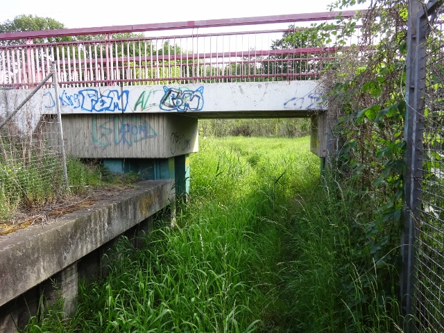 Radweggrabenbrücke / Zehnbuschgraben