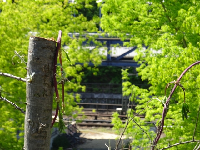 Fußgängerbrücke Zugang zum Messegelände / EU Strecke Berlin - Spandau
