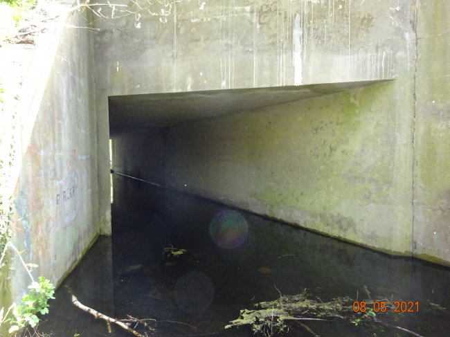 EÜ Strecke Berlin - Oranienburg - Rostock / Briese