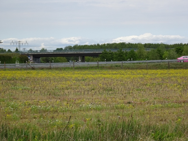 K6163 Straßenbrücke Selchower Weg / Bundesstraße 96 AS