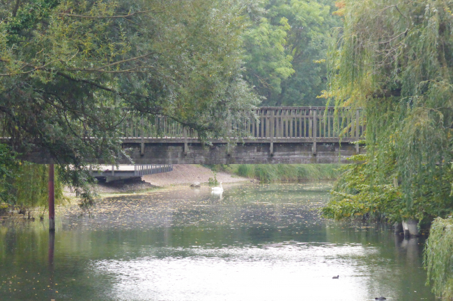 Steg über den Altrhein