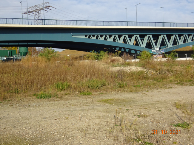Minna-Todenhagen-Brücke