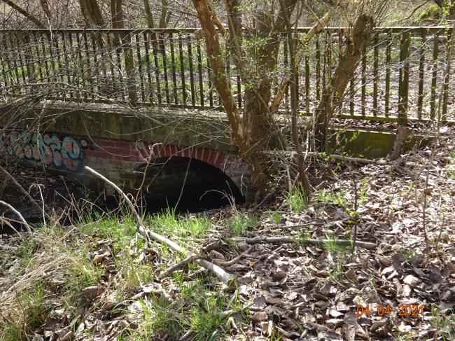 Alte Wegbrücke / Wuhle alter - natürlicher Verlauf