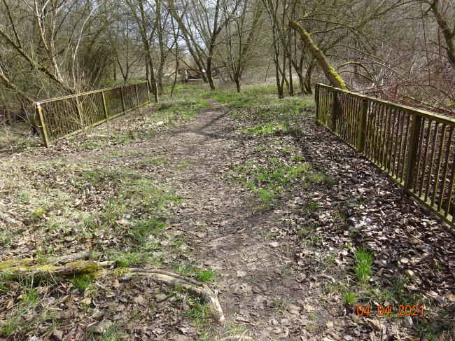 Alte Wegbrücke / Wuhle alter - natürlicher Verlauf
