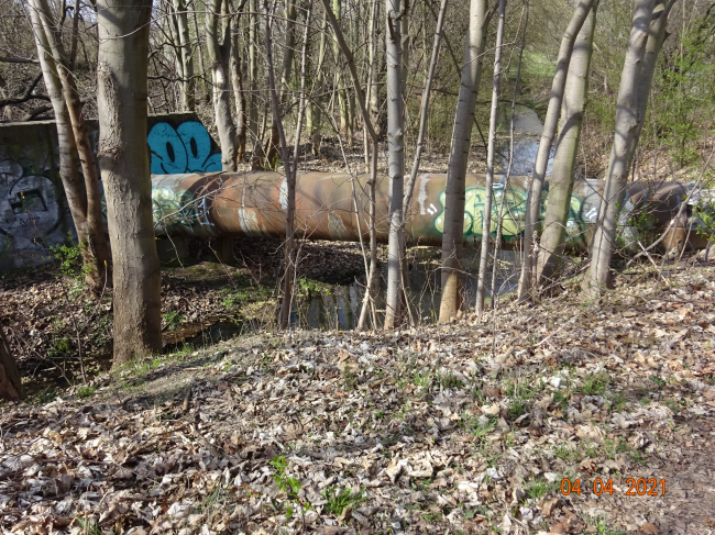Rohrbrücke / Wuhle ( alter, natürlicher Verlauf)