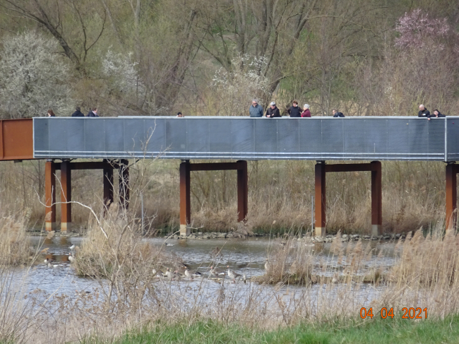 Neuer Name: Gottfried Funeck Weg Fußgängersteg zur Buga 2017 / Wuhleteichlandschaft