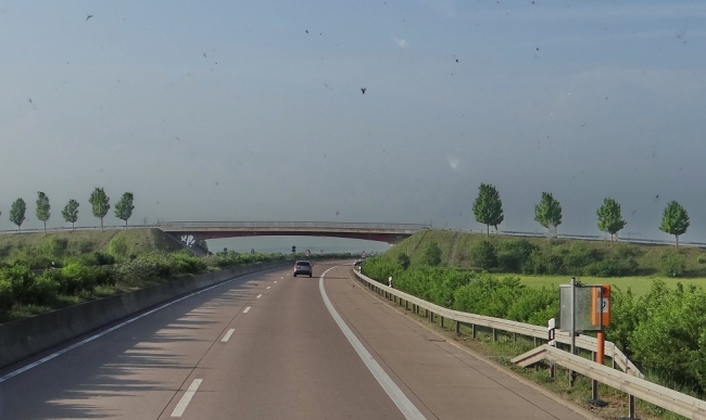 Wirtschftswegbrücke