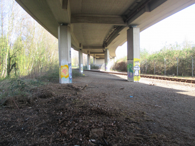 Unter der Brücke, Blick nach Norden