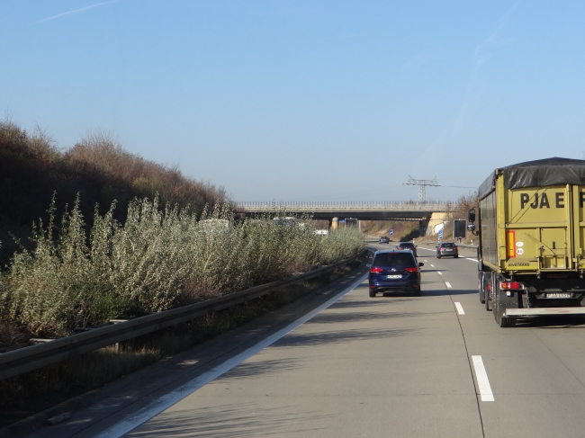 A14 Brücke Beyerndorf