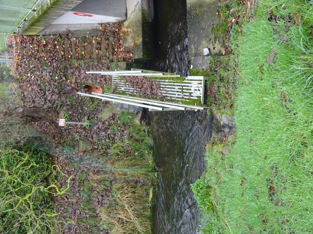 L24 Dorfstraßenbrücke / Elde, am rechten Bildrand
