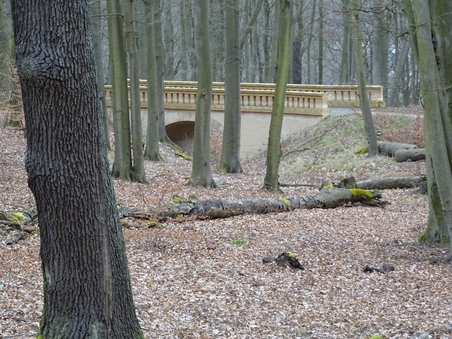Fußwegbrücke sö der Gaststätte Forsthaus Moorlake / Weg oder trockenerWasserlauf?