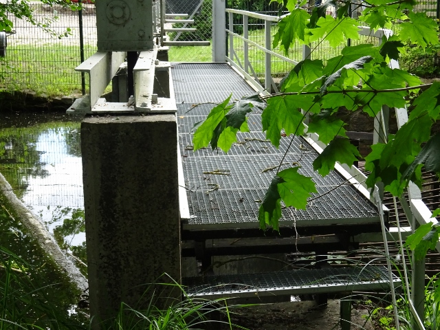 Arbeitswegbrücke bei der Havelumflutung / Havelumflut