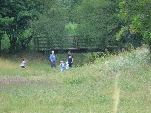 Fußwegbrücke Am Lupienenfeld - Reißiger Straße / Grünanlage