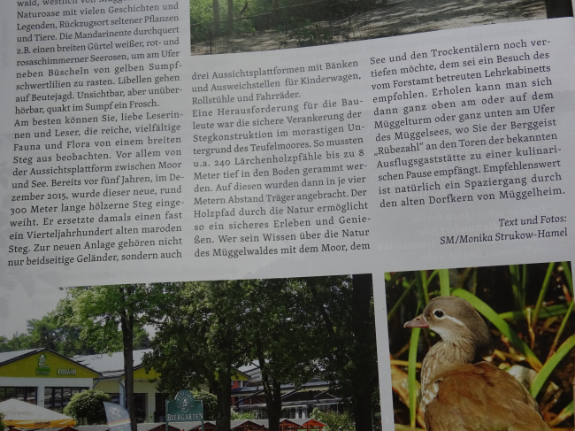 Bohlenfußwegbrücke / Teufelsmoor