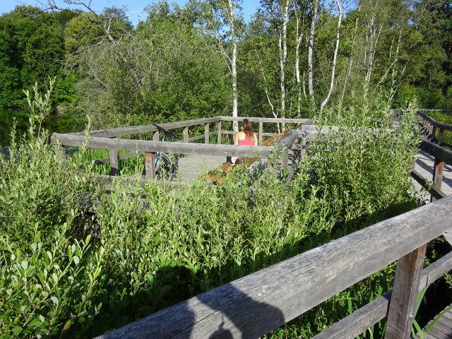 Bohlenfußwegbrücke / Teufelsmoor