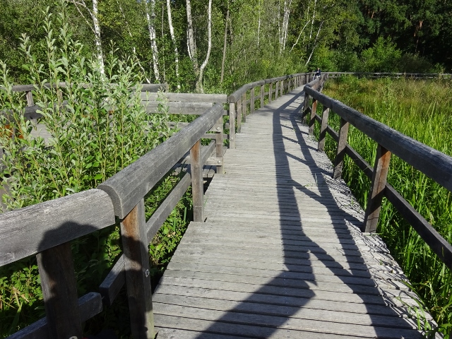 Bohlenfußwegbrücke / Teufelsmoor