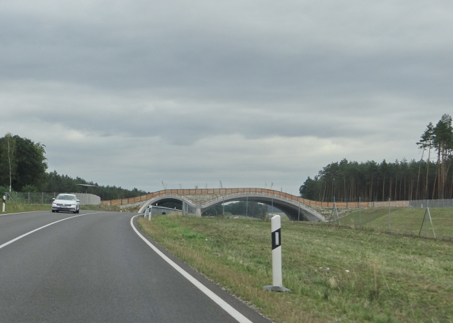 Wildbrücke 2 Bogen Cröchern