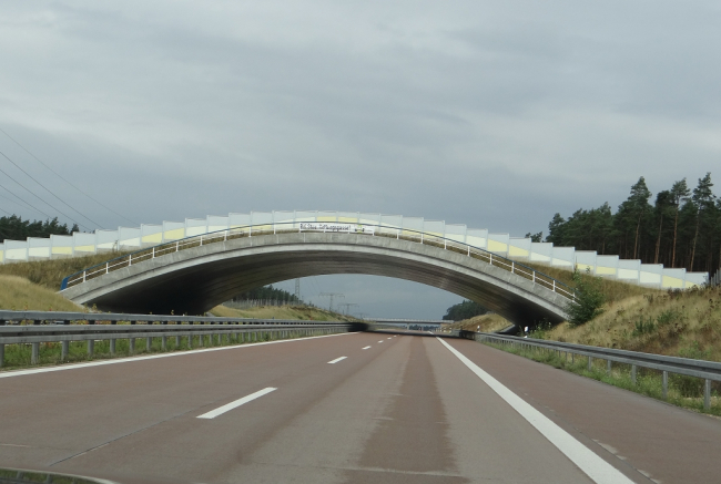 A14 Brücke Beckentin