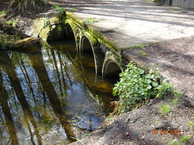 Fußwegbrücke zwischen den Orten Borgsdorf und Briese / Fließ Briese