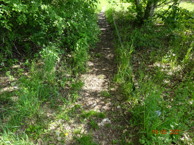 ehem. verlängerte Schwanebecker Chausseebrücke / Panke ( Schiene beachten )