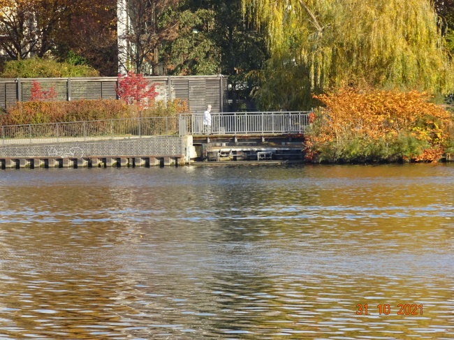 Caroline Tubbecke - Uferbrücke / Spree-einbuchtung an Halbinsel Stralau