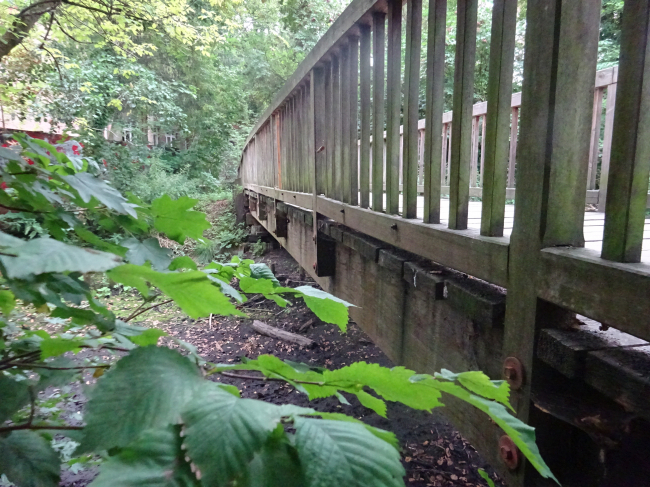 Fußwegbrücke Katholische Schule Salvates / Tegeler Fließ