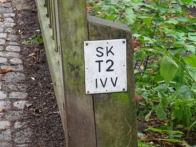 W35153/ Tegeler Fließ