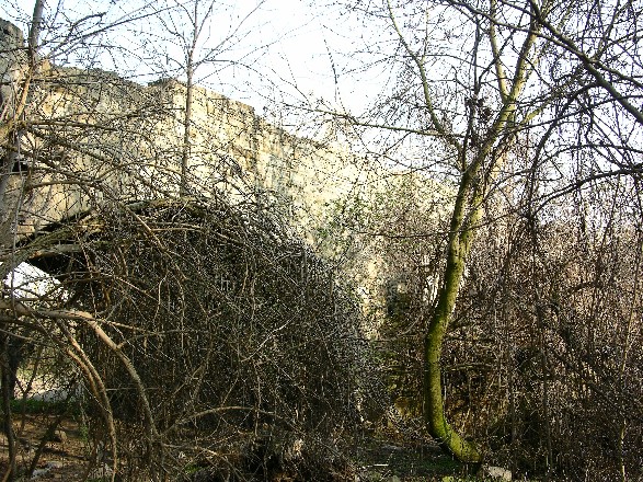 die zugewachsene Brücke