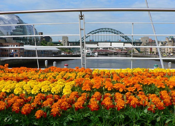 das blumengeschmückte Deck für das